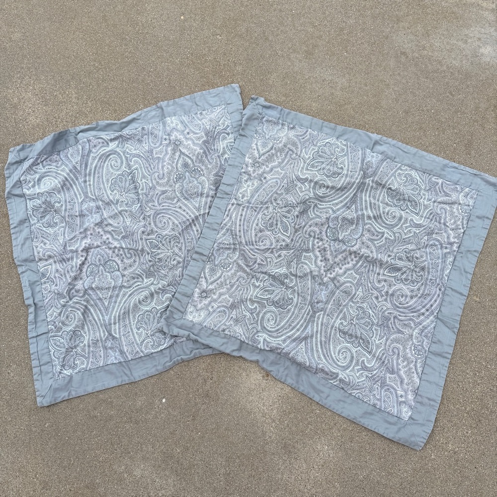 Restoration Hardware Blue Paisley European Cotton Pillow Shams (2)